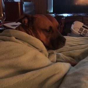 Meet your Posher, Jess